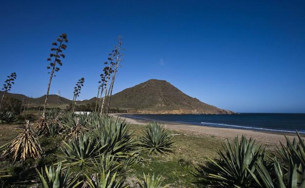 Proyecto De Hotel En Genoveses Polmica En Almera Greenpeace